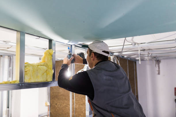 Best Insulation for Specific Applications in Ruthers, CA